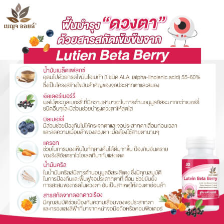BOXSET เบญจออยล์ ลูทีน เบต้า เบอร์รี่ 30 แคปซูล 6 กระปุก _5